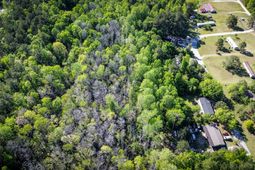 351 Dingle Lane photo 4