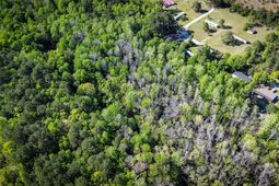 351 Dingle Lane photo 4