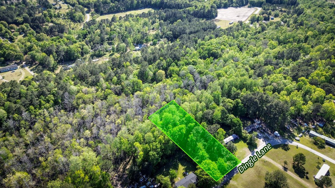 351 Dingle Lane Photo 5