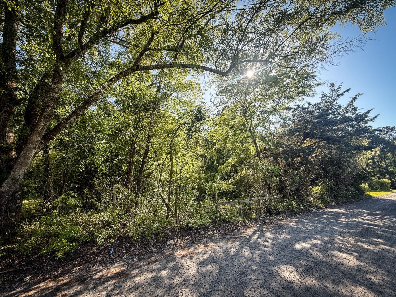 351 Dingle Lane Photo 9