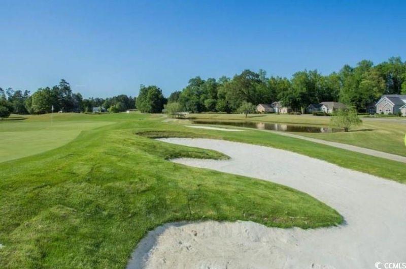 993 Cherrystone Loop Photo 29