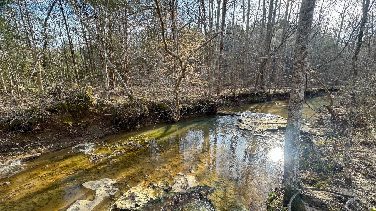 0 Jeannette Holladay Rd, Parsons, TN 38363 Main Photo