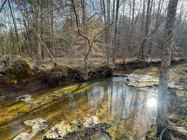 0 Jeannette Holladay Rd, Parsons, TN 38363