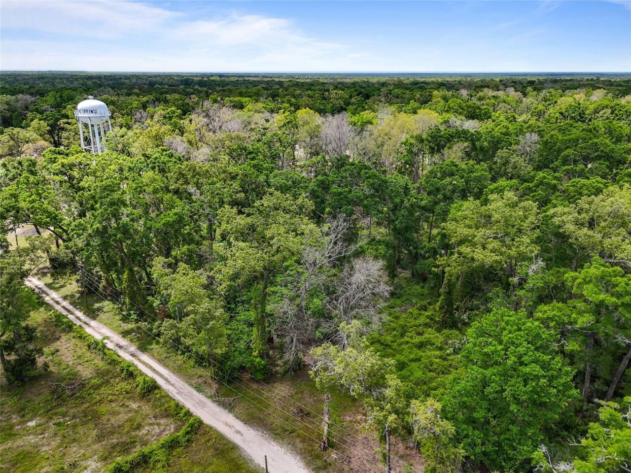 Lot 48 90th Avenue, Fanning Springs, FL 32693 Photo