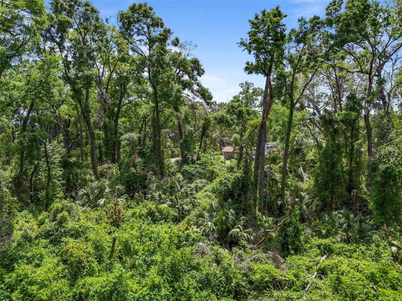 Lot 48 90th Avenue, Fanning Springs, FL 32693 Photo