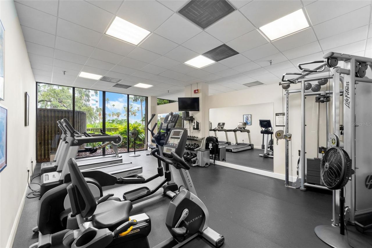 2413 Bayshore Boulevard, Unit 801, Tampa, FL 33629 Photo