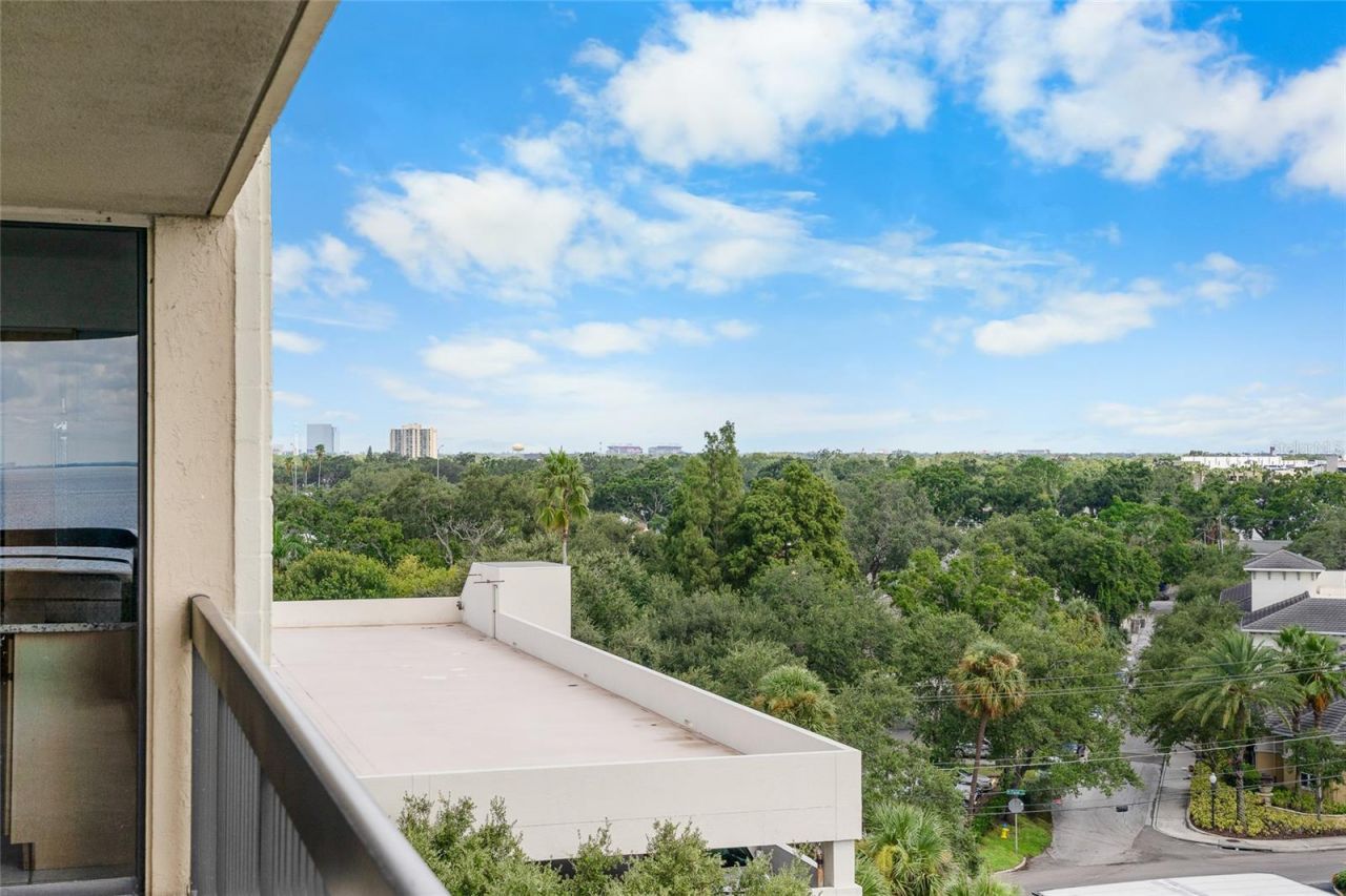 2413 Bayshore Boulevard, Unit 801, Tampa, FL 33629 Photo