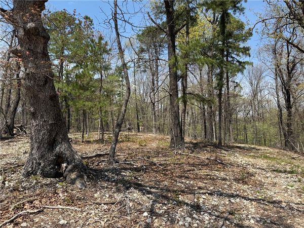 TBD CR 1027, Eureka Springs, AR 72632