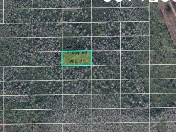 DILL ROAD, ORLANDO, FL 32820