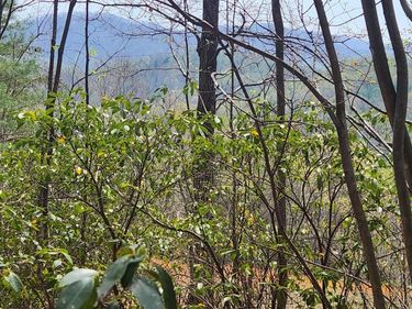 303 Harrison Creek Road, Amherst, VA 24521