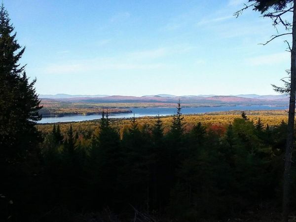 Lot 24-1 Rte 17, Rangeley Plt, ME 04970