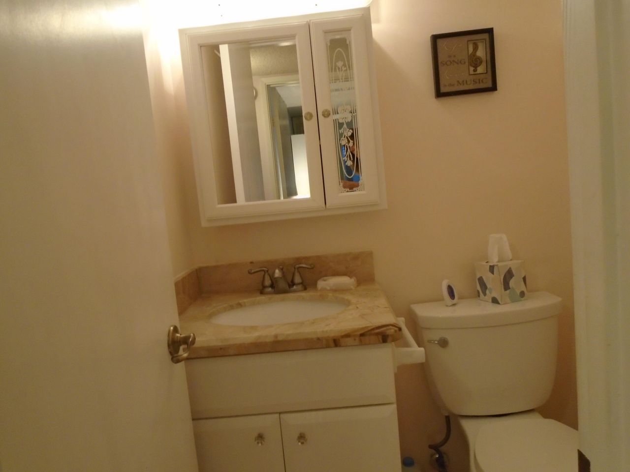 3300 Springdale Boulevard, Unit 316, Palm Springs, FL 33461 Photo