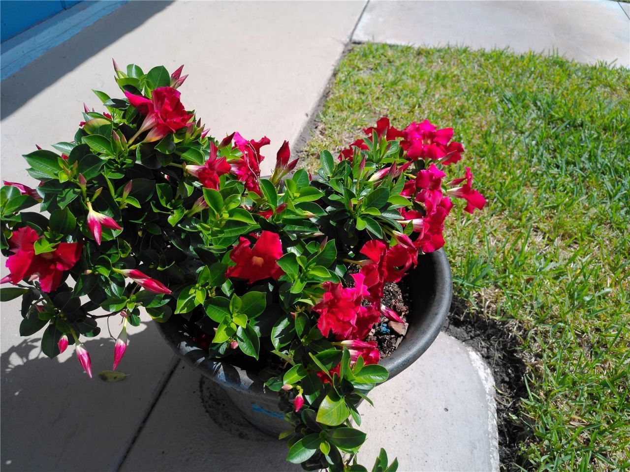 4715 Bay Street Ne, Unit 119, Saint Petersburg, FL 33703 Photo