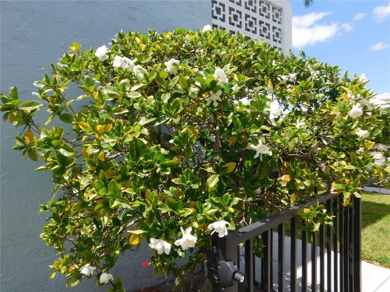 4715 Bay Street Ne, Unit 119, Saint Petersburg, FL 33703 Photo