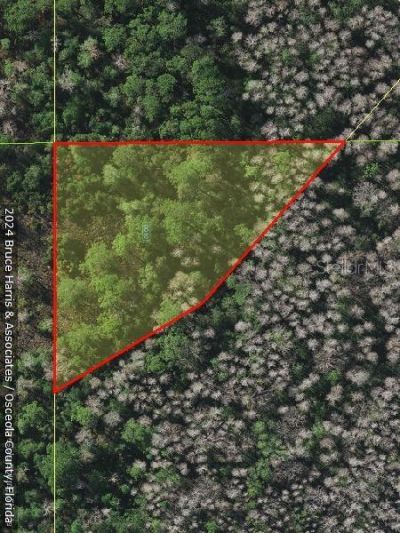 E Irlo Bronson Highway, Saint Cloud, FL 34771 Photo