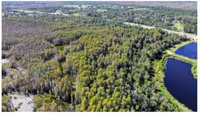 E Irlo Bronson Highway, Saint Cloud, FL 34771 Photo