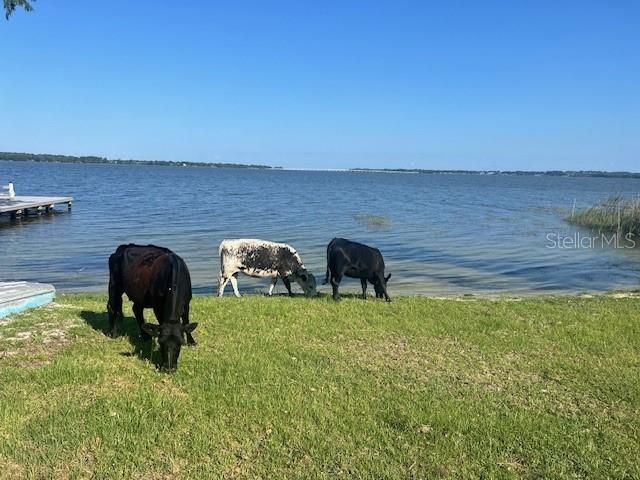 25800 Washington Street, Astatula, FL 34705 Photo