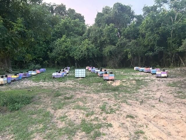 25800 Washington Street, Astatula, FL 34705 Photo