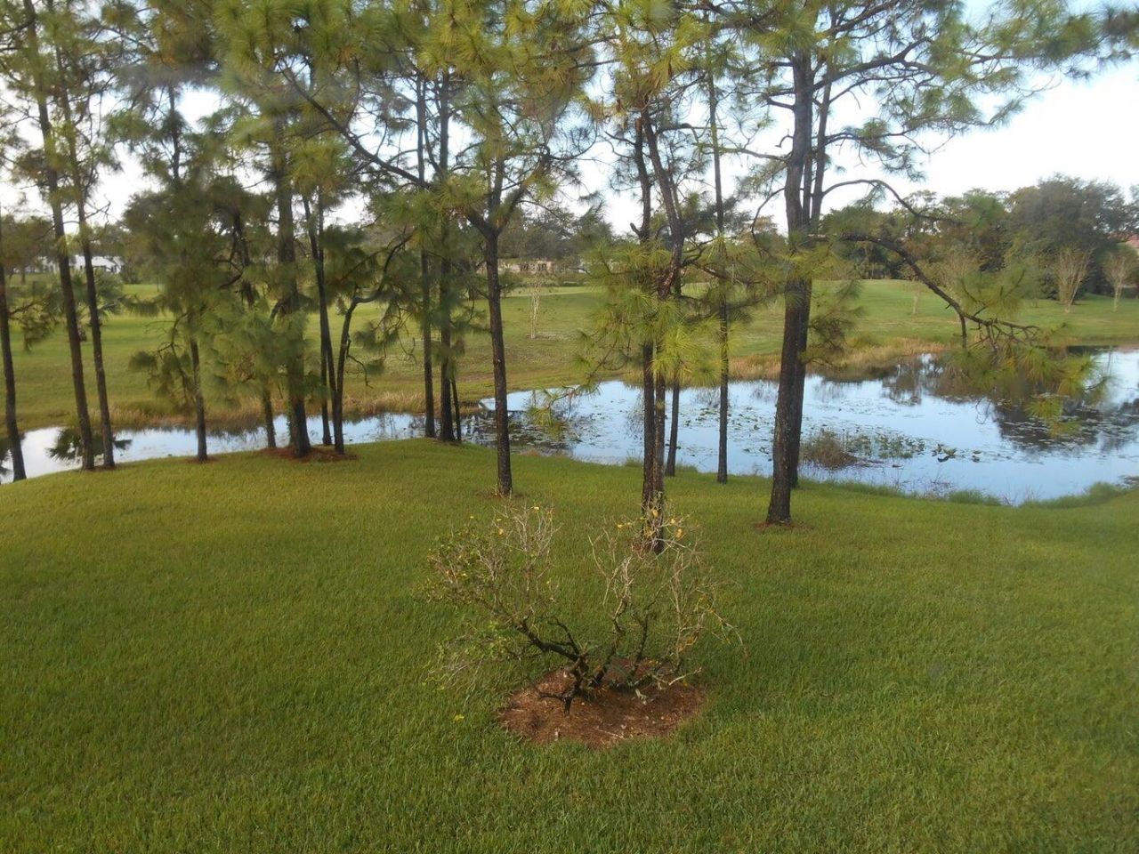 1807 Palm Beach Trace Drive, Royal Palm Beach, FL 33411 Photo