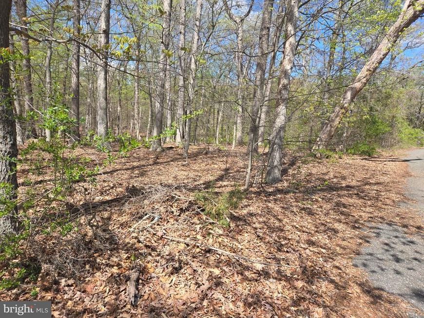 Newasa Lane, Accokeek, MD 20607 Main Photo