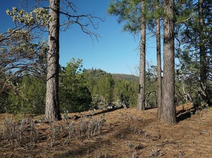 660 Chief Kelly Dr, Nevada City, CA 95959 Photo