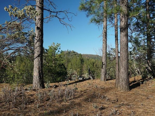 660 Chief Kelly Dr, Nevada City, CA 95959