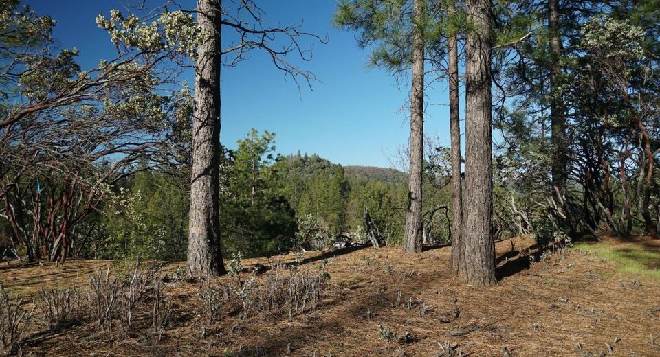 660 Chief Kelly Dr, Nevada City, CA 95959 Photo