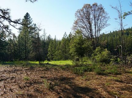 660 Chief Kelly Dr, Nevada City, CA 95959 Photo