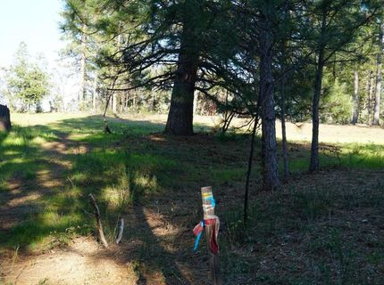 660 Chief Kelly Dr, Nevada City, CA 95959 Photo