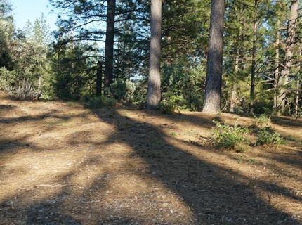 660 Chief Kelly Dr, Nevada City, CA 95959 Photo