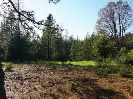 660 Chief Kelly Dr, Nevada City, CA 95959 Photo