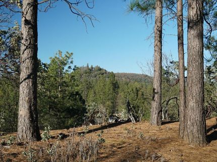 660 Chief Kelly Dr, Nevada City, CA 95959 Photo