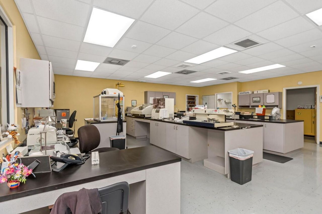 7641 66th Street N, Pinellas Park, FL 33781 Photo