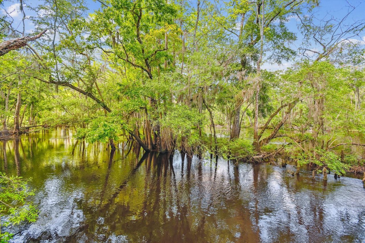 7095 Parkers Ferry Road Photo 10