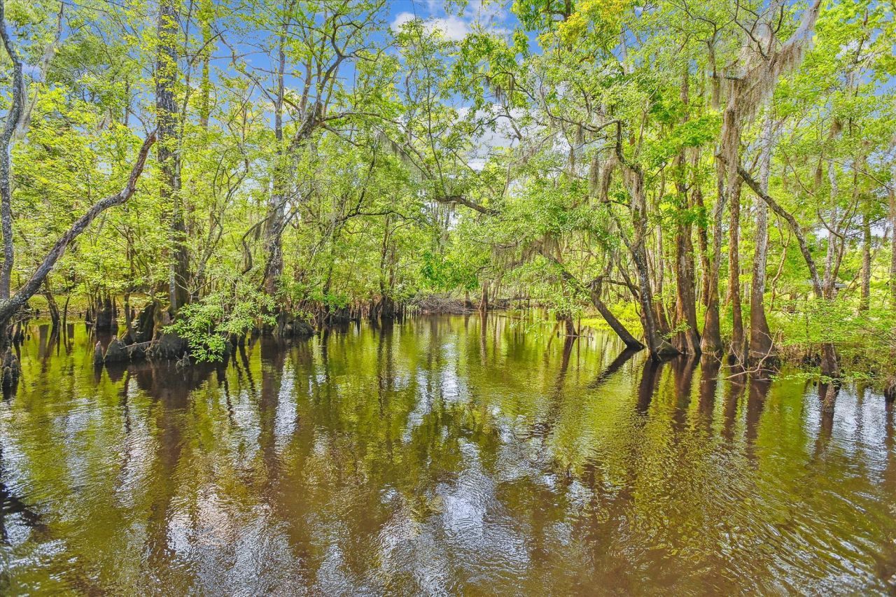 7095 Parkers Ferry Road Photo 12