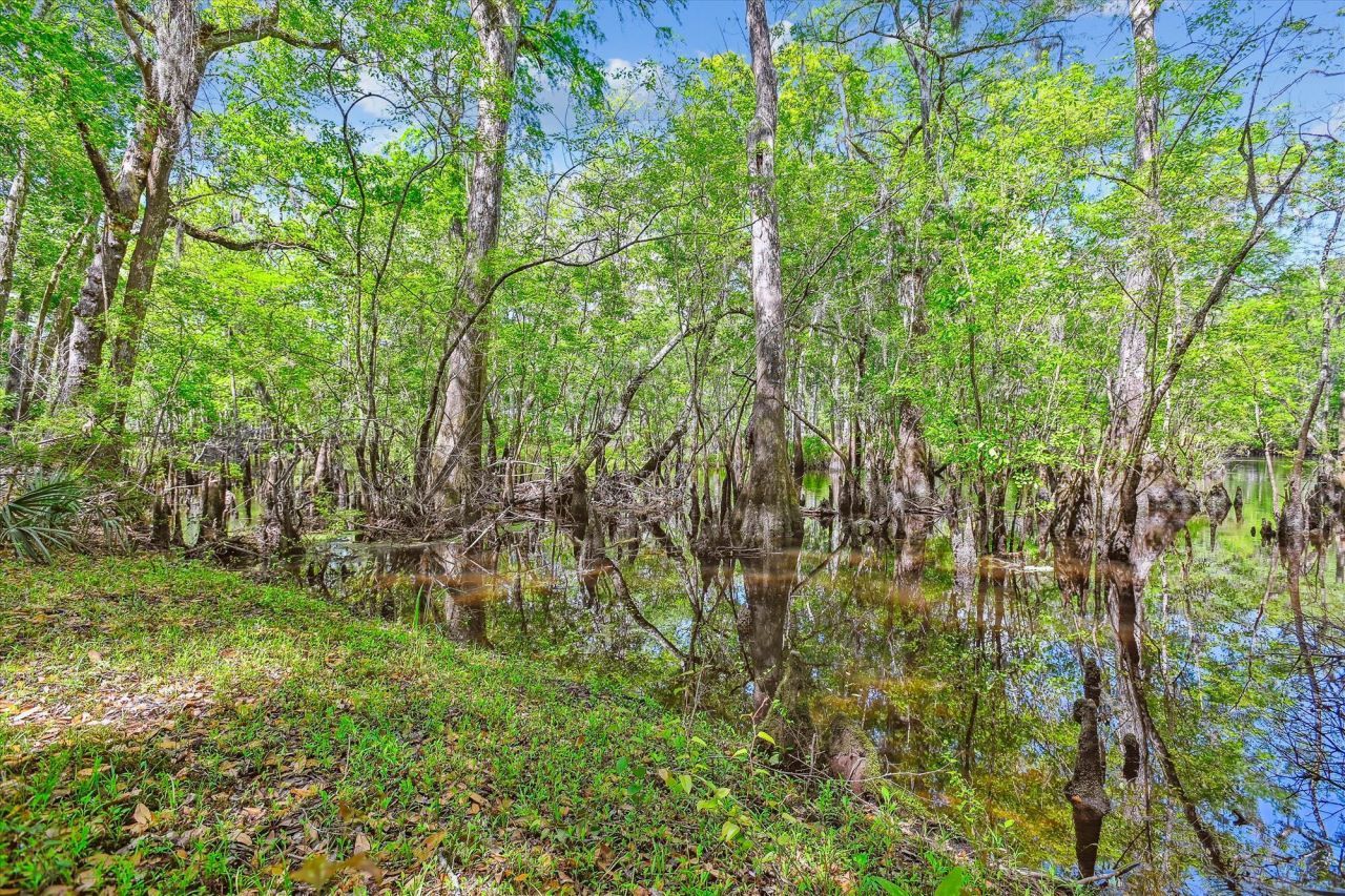 7095 Parkers Ferry Road Photo 14