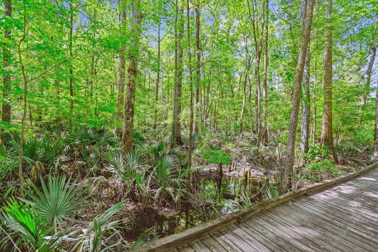 7095 Parkers Ferry Road Photo 16