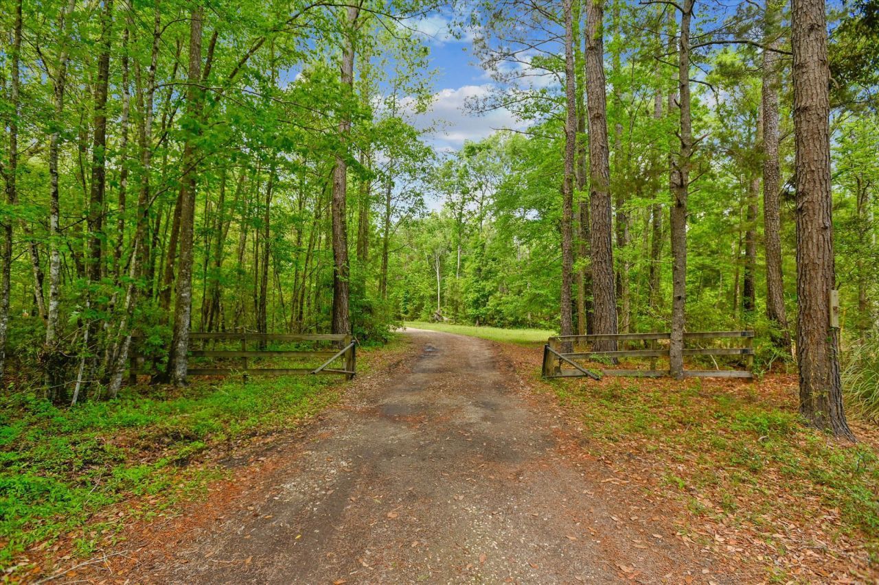 7095 Parkers Ferry Road Photo 17