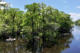 7095 Parkers Ferry Road photo 4