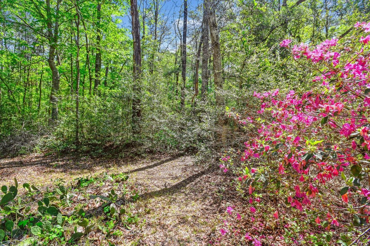 7095 Parkers Ferry Road Photo 20