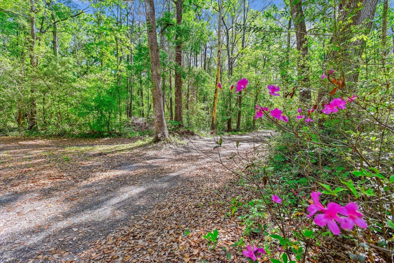 7095 Parkers Ferry Road Photo 25