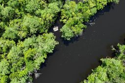 7095 Parkers Ferry Road photo 4