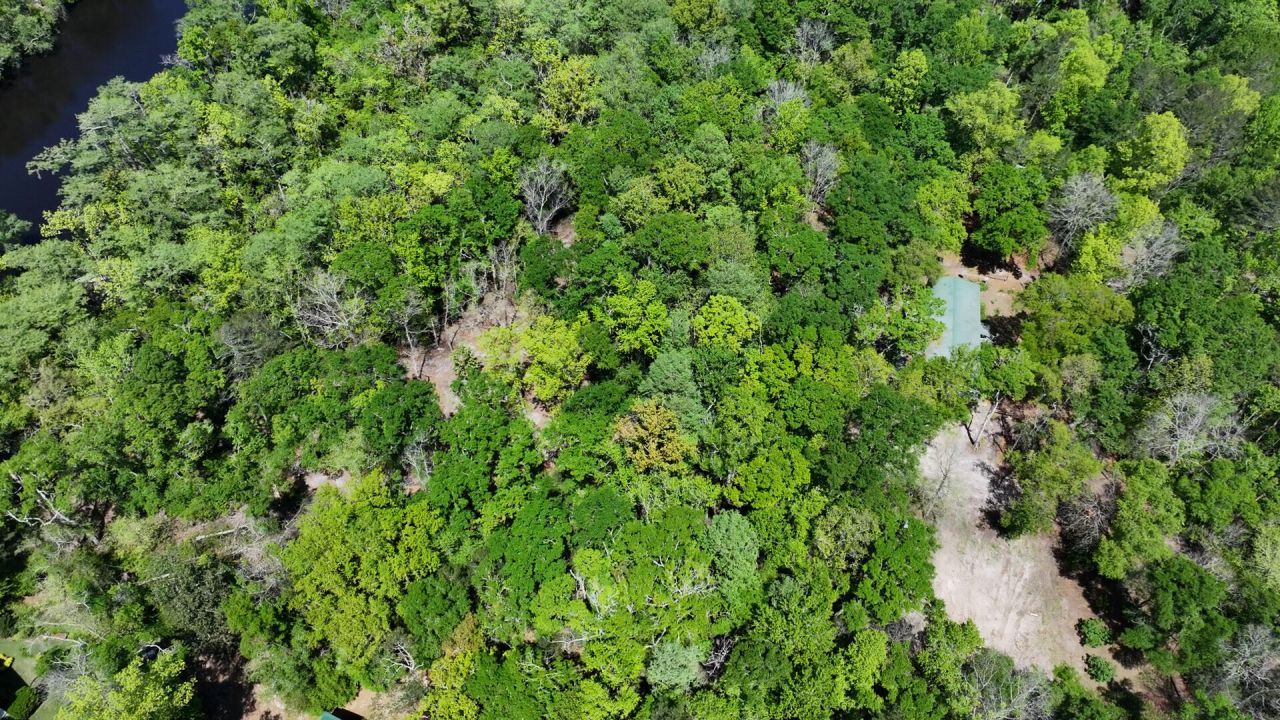 7095 Parkers Ferry Road Photo 7