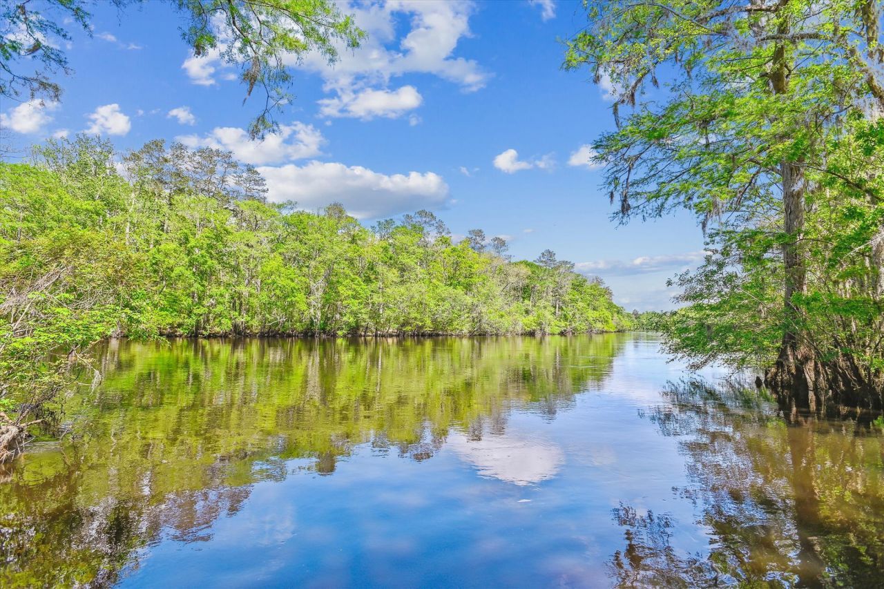 7095 Parkers Ferry Road Photo 8