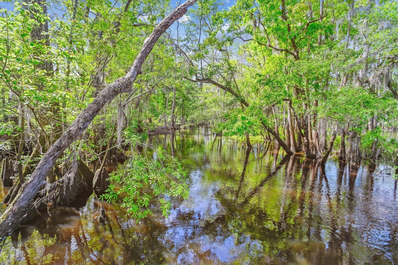 7095 Parkers Ferry Road Photo 9