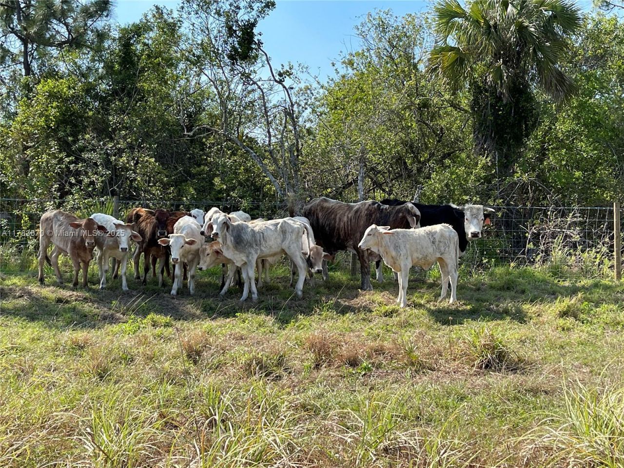 2105 86th Ave Sw, Vero Beach, FL 32968 Photo
