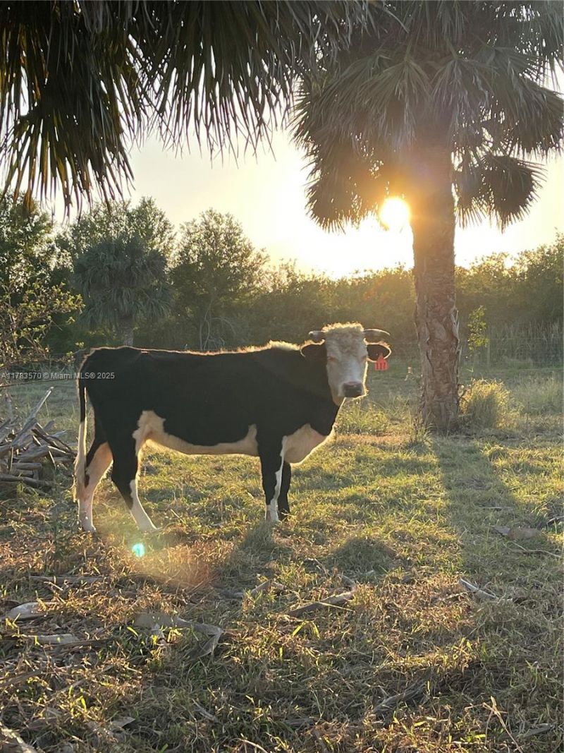 2105 86th Ave Sw, Vero Beach, FL 32968 Photo