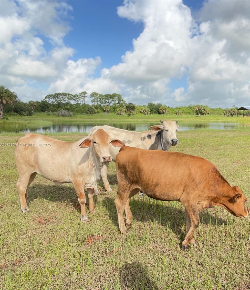 2105 86th Ave Sw, Vero Beach, FL 32968 Photo