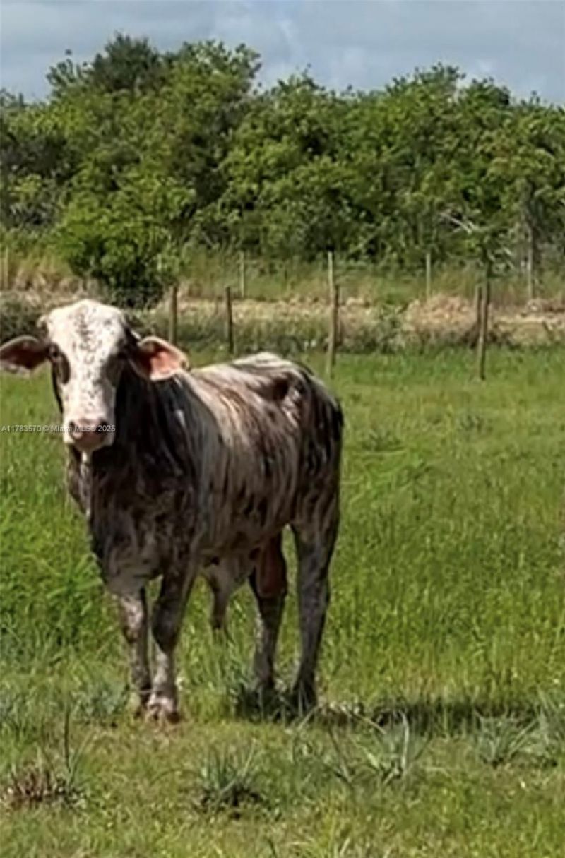 2105 86th Ave Sw, Vero Beach, FL 32968 Photo