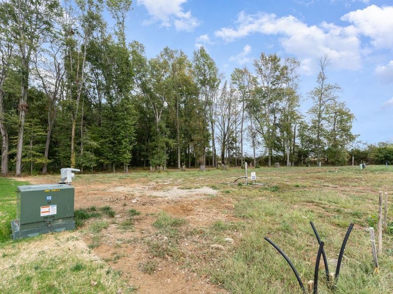 986 Larkspur Drive, Union Twp, OH 45152 Photo 6